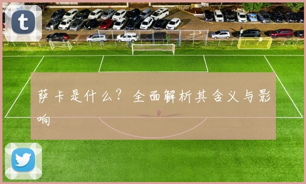 萨卡是什么?全面解析其含义与影响