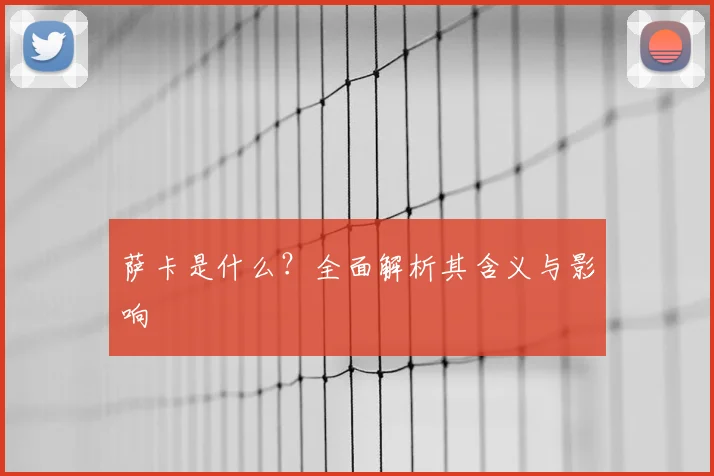 萨卡是什么?全面解析其含义与影响