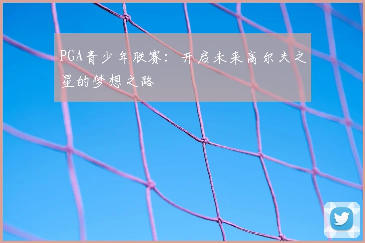 PGA青少年联赛:开启未来高尔夫之星的梦想之路