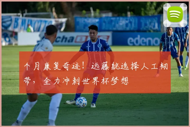个月康复奇迹!远藤航选择人工韧带,全力冲刺世界杯梦想