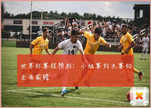 世界杯赛程预测:小组赛到决赛的全面前瞻