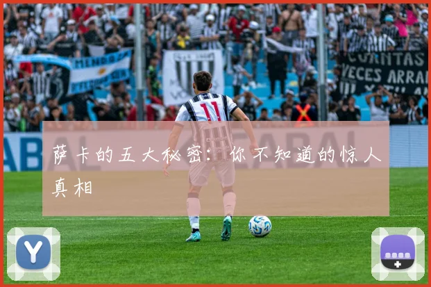 萨卡的五大秘密:你不知道的惊人真相
