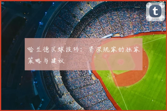哈兰德买球技巧:资深玩家的独家策略与建议