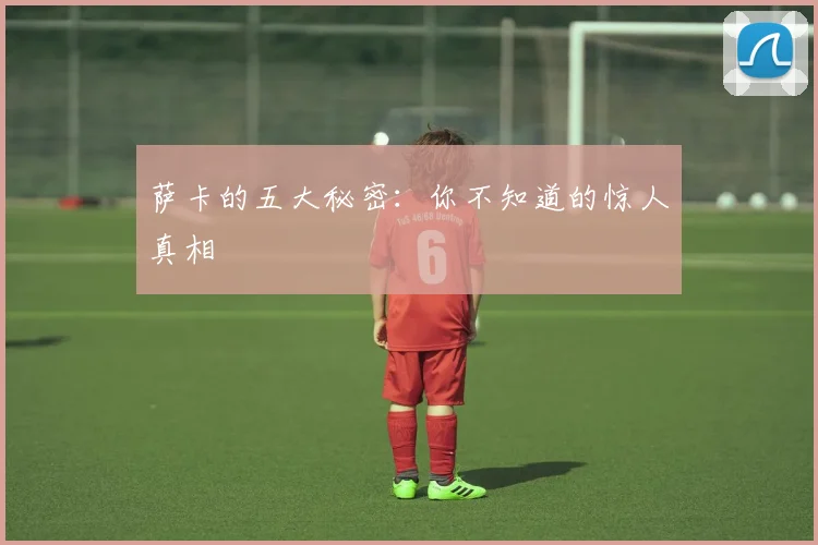 萨卡的五大秘密：你不知道的惊人真相