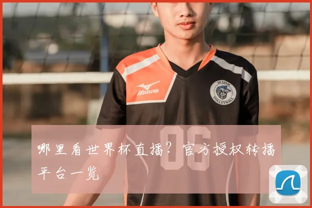 哪里看世界杯直播?官方授权转播平台一览